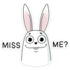 MISS ME?