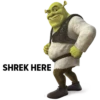 SHREK 10
