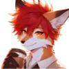 Summer_fox_21 12