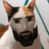 NAJIM STIKERS by 12
