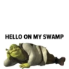 SHREK 15