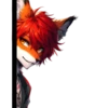 Summer_fox_21 16