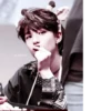 Stray kids love stick 17
