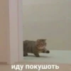Асрор Мем by 16