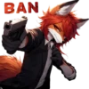 Summer_fox_21 19