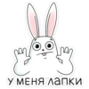 У меня лапки