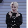 Stray kids love stick 18