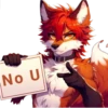 Summer_fox_21 22