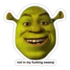 SHREK 19