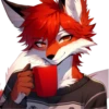 Summer_fox_21 23