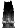 Tiny Bunny/Alice 10