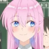 Shikimori 25