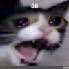 00