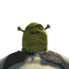 SHREK 28