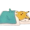 Shitposting licence — 27