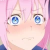 Shikimori 30