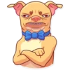 Tuna the Dog 5