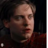 Tobey Maguire Spiderman 7