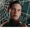 Tobey Maguire Spiderman 8