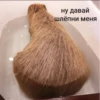 Больше стикеров: 5
