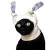 Cats 10