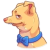 Tuna the Dog 7