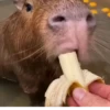 Больше стикеров: 11
