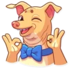 Tuna the Dog 14
