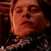 Tobey Maguire Spiderman 12