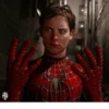 Tobey Maguire Spiderman 14