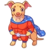 Tuna the Dog 16