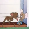 Том и Джерри 14