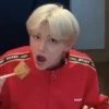 StrayKids 11