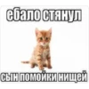 Создать стикеры| 13