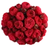 Flowers >> 13