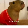 Больше стикеров: 19