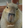 Больше стикеров: 20