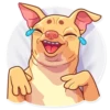 Tuna the Dog 21