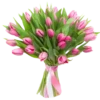 Flowers >> 17
