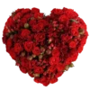 Flowers >> 18
