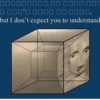 but I don't expect you to understand