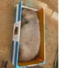 Больше стикеров: 22