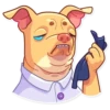 Tuna the Dog 22