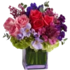 Flowers >> 23