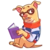 Tuna the Dog 26
