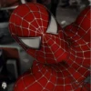 Tobey Maguire Spiderman 25
