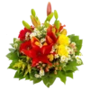 Flowers >> 25