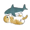 больше в 11