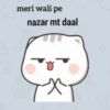 meri wali pe nazar mt daal