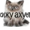 сижу ахуел